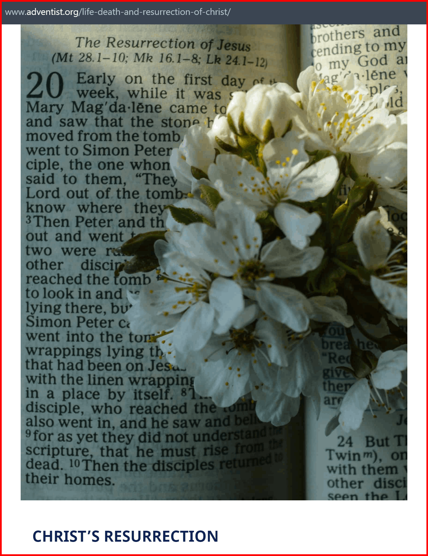 sda resurrection caption